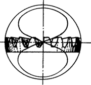 �X݆�����g(sh��)�Z(y��)�F�X݆����(zh��n)�p�����X݆�����X݆��