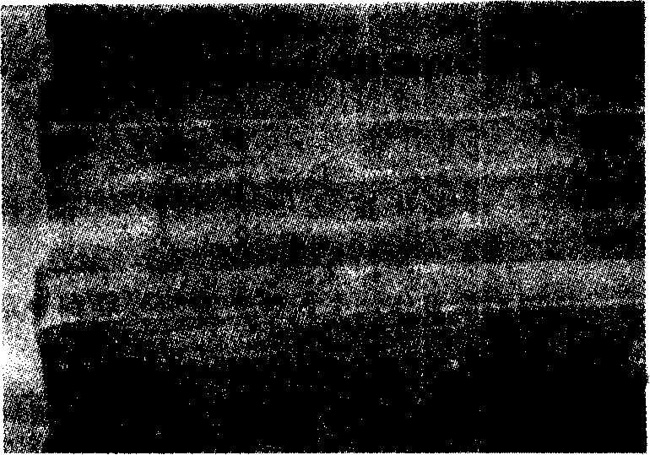 �����c(di��n)�g