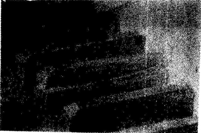 �S�C����