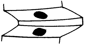 �F�X݆�͜�(zh��n)�p�����X݆�g(sh��)�Z�ӹ�������݆�X���|���z���ԇ�(y��n)