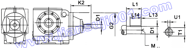 JRTS斜齒輪——蝸輪蝸桿減速電機