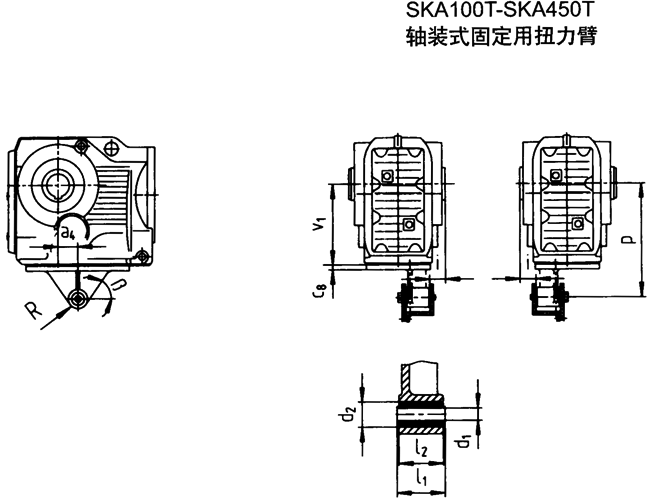 SK系列斜齒輪—蝸旋傘齒輪減速電機(jī)
